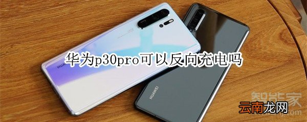 华为p30pro可以反向充电吗