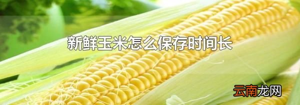 新鲜玉米怎么保存时间长