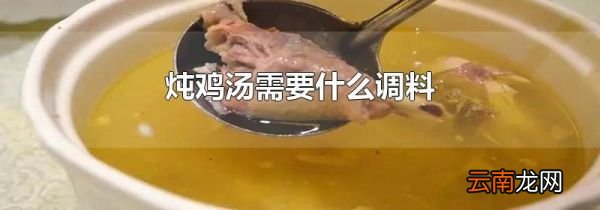 炖鸡汤需要什么调料