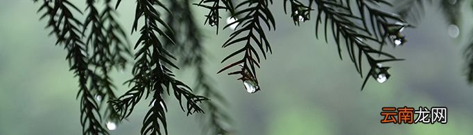 雨滴是什么形状的？