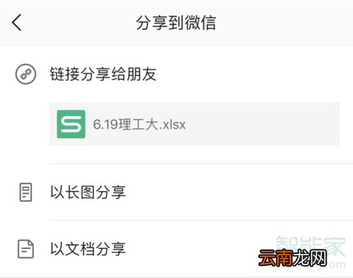 苹果手机wps怎么以文件形式发送