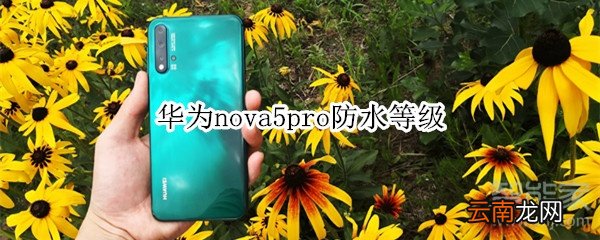 华为nova5pro防水等级