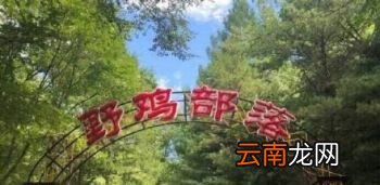 鸡笼警告什么意思？