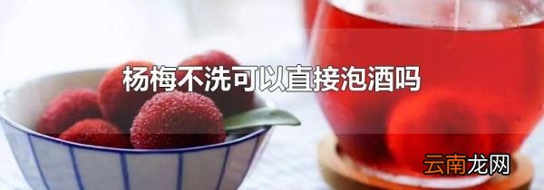 杨梅不洗可以直接泡酒吗