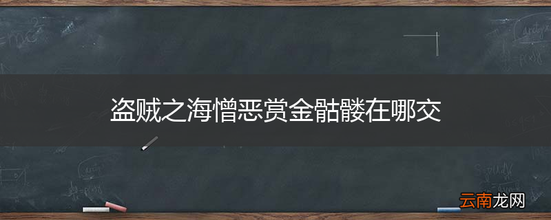 盗贼之海憎恶赏金骷髅在哪交