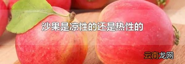 沙果是凉性的还是热性的
