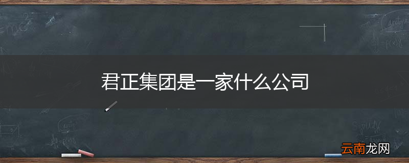 君正集团是一家什么公司