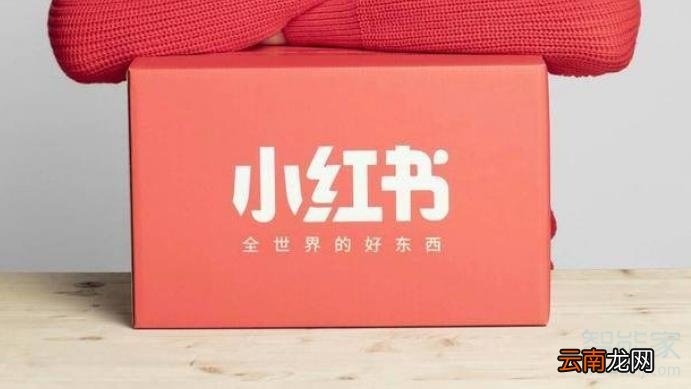ios小红书下载不了