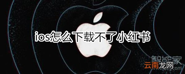 ios小红书下载不了