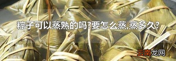 粽子可以蒸熟的吗?要怎么蒸,蒸多久?