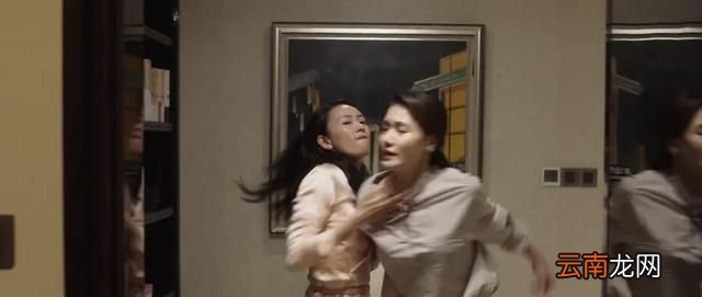 山楂叔是什么意思？