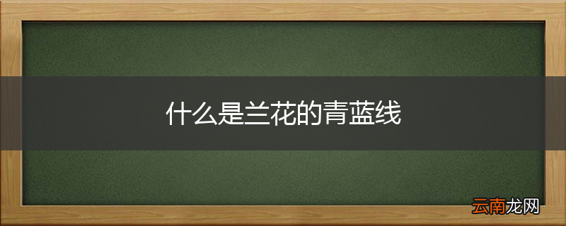 什么是兰花的青蓝线