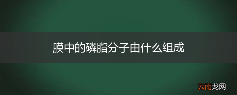 膜中的磷脂分子由什么组成