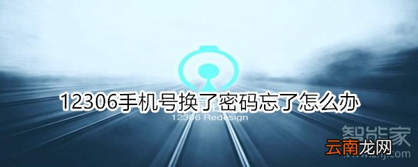 12306手机号换了密码忘了怎么办