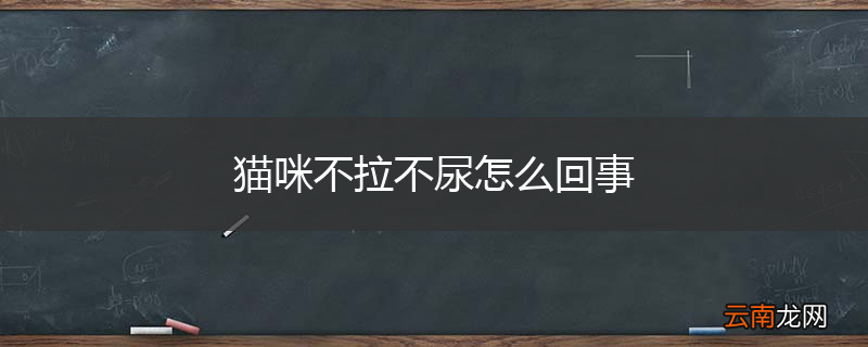 猫咪不拉不尿怎么回事