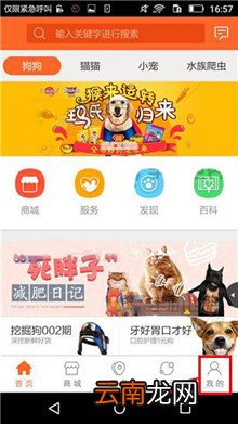 波奇宠物中将消息提醒关掉的详细操作流程