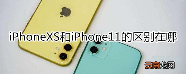 iphone xs和11区别