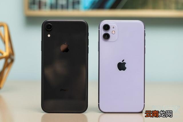 iphone xs和11区别