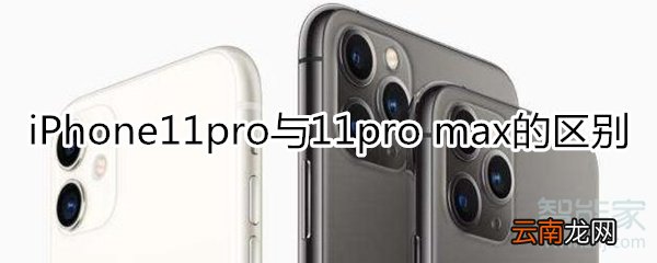 iphone11 pro max 区别