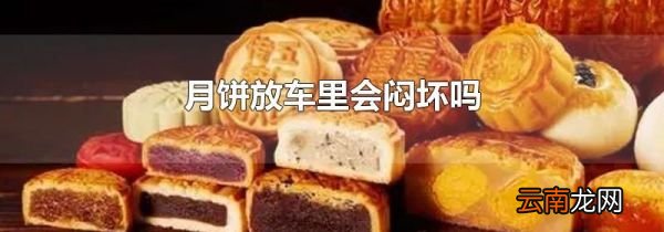月饼放车里会闷坏吗