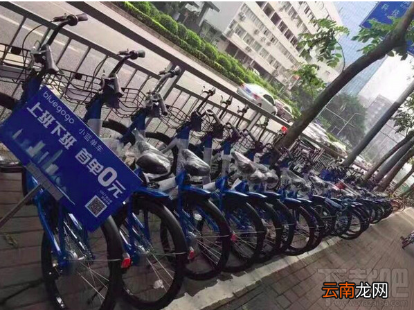 bluegogo小蓝单车app是什么？bluegogo小蓝单车怎么样？