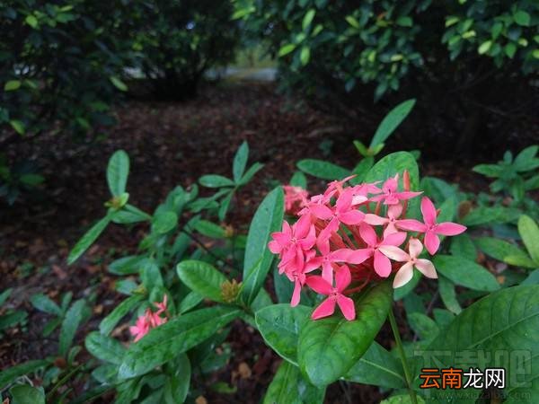小米Note2拍照怎么样？小米Note2拍照新能介绍