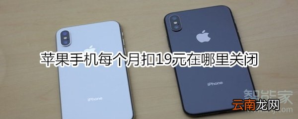 苹果手机每个月扣19元在哪里关闭