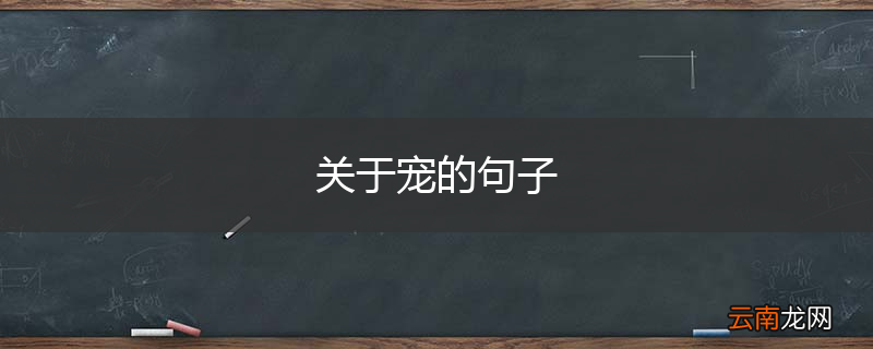 关于宠的句子