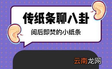 Spot详细软件介绍