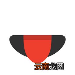 Spot详细软件介绍