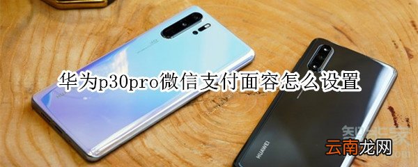 华为p30pro微信支付面容怎么设置