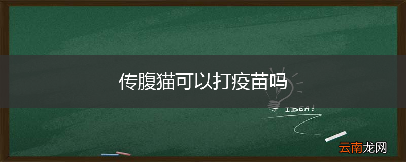 传腹猫可以打疫苗吗