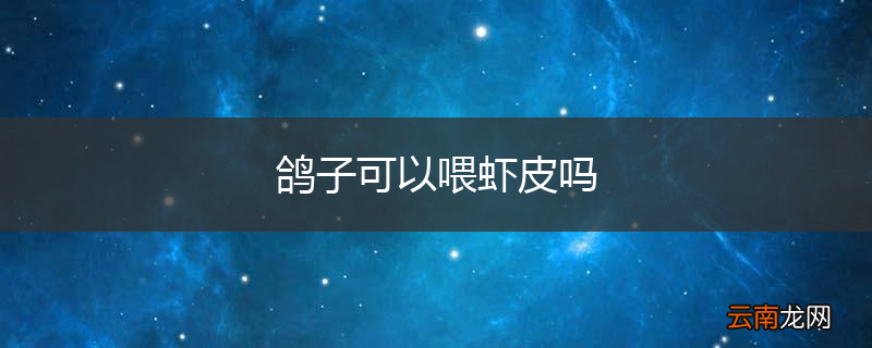 鸽子可以喂虾皮吗