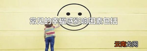 常见的幸福感影响因素包括