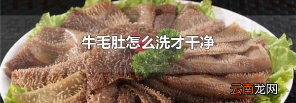 牛毛肚怎么洗才干净