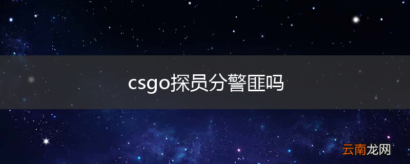 csgo探员分警匪吗