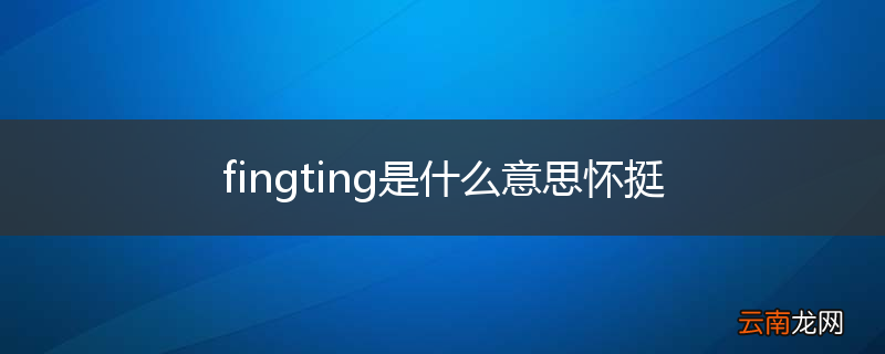 fingting是什么意思怀挺