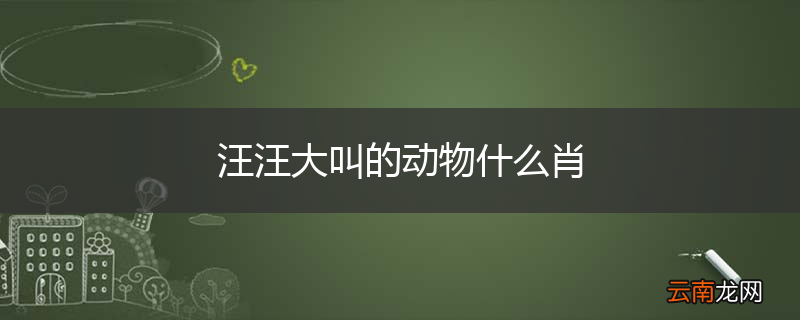 汪汪大叫的动物什么肖