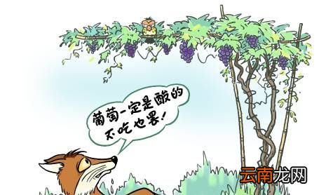 什么是酸葡萄心理？