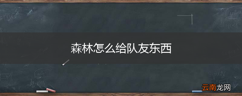 森林怎么给队友东西