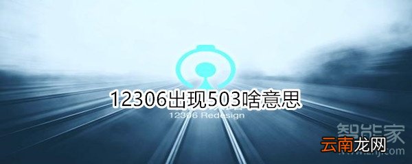 12306出现503啥意思
