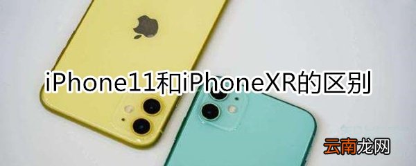 iphone 11和iphone xr的区别