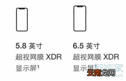 iphone 11 pro和max区别