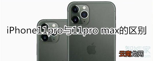 iphone 11 pro和max区别