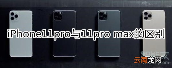 iphone pro和max区别