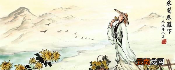 饮酒其五主旨 饮酒其五主题概括