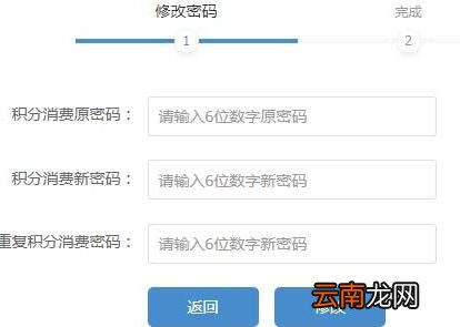 12306原始消费密码是什么