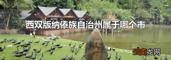 西双版纳傣族自治州属于哪个市