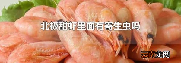 北极甜虾里面有寄生虫吗