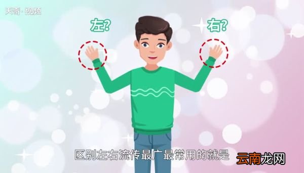 左右怎么分 左右如何分